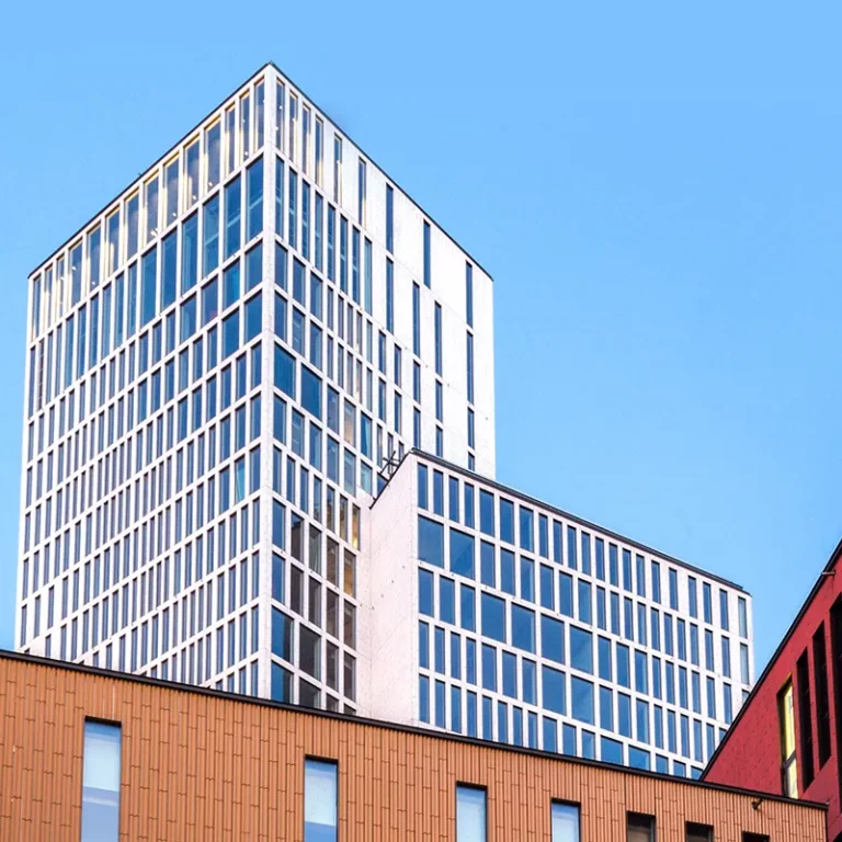 What Is the Recruitment .